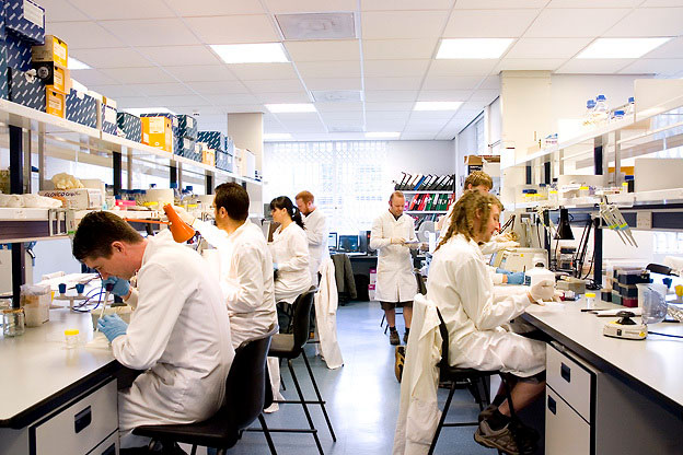 Molecular-Ecology-Laboratory_624x416
